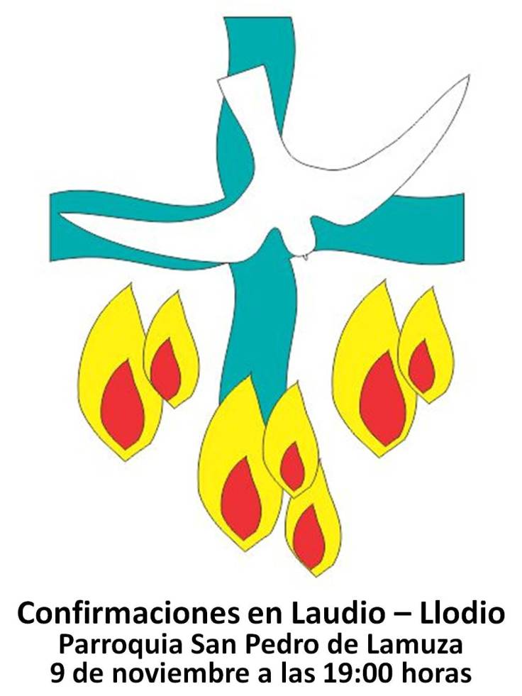 Confirmaciones cartel 2013